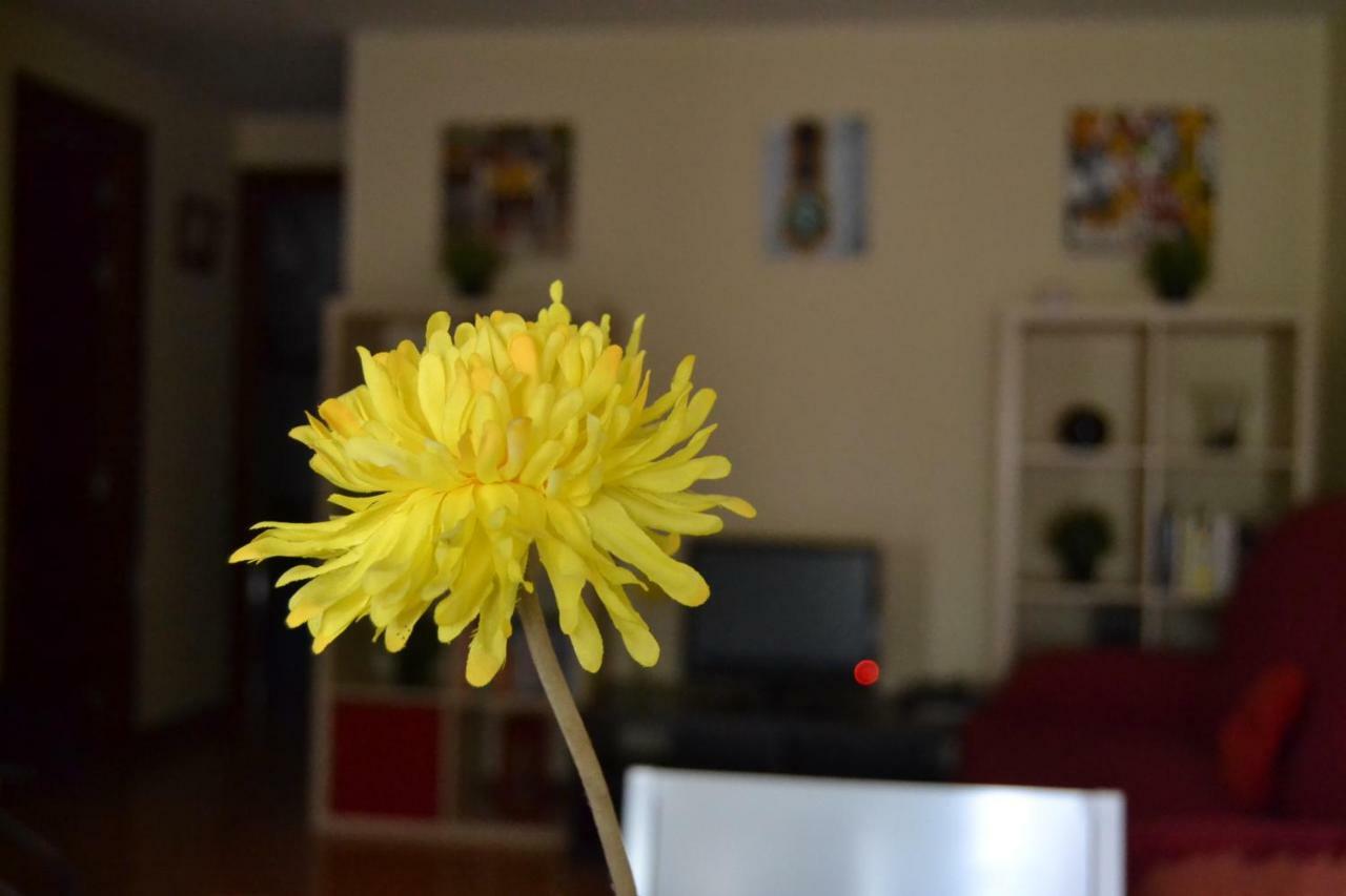 Apartamento Turistico Dct. Creus Guadalajara Bagian luar foto